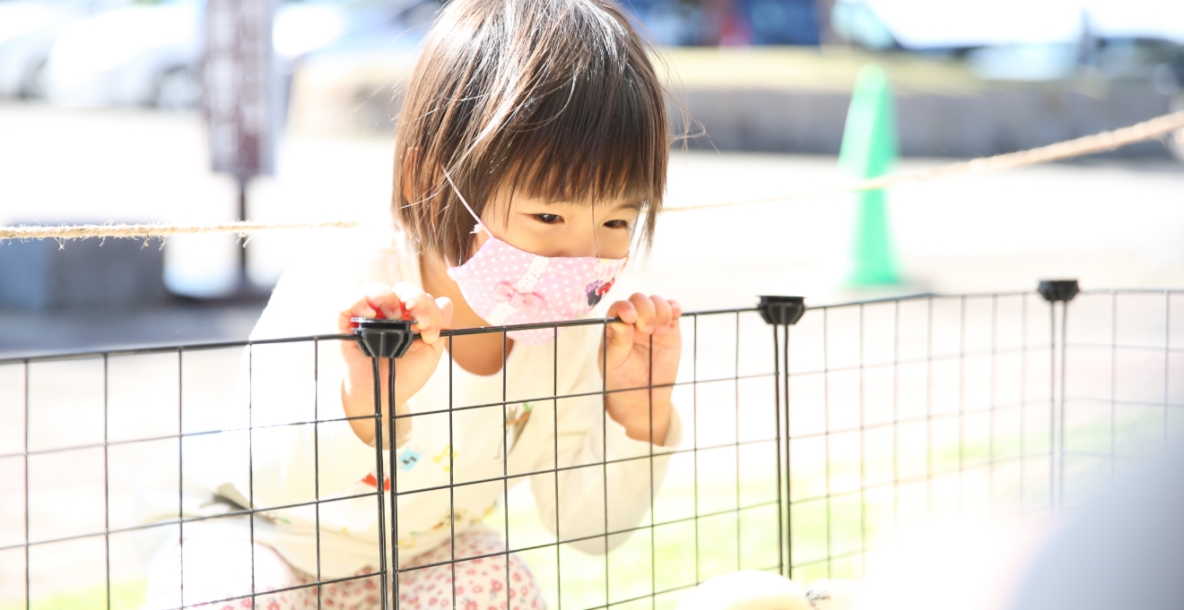 みんなの供養祭（8月）