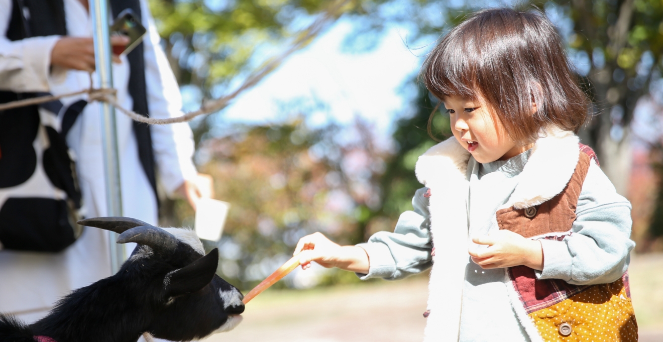 みんなの供養祭（8月）