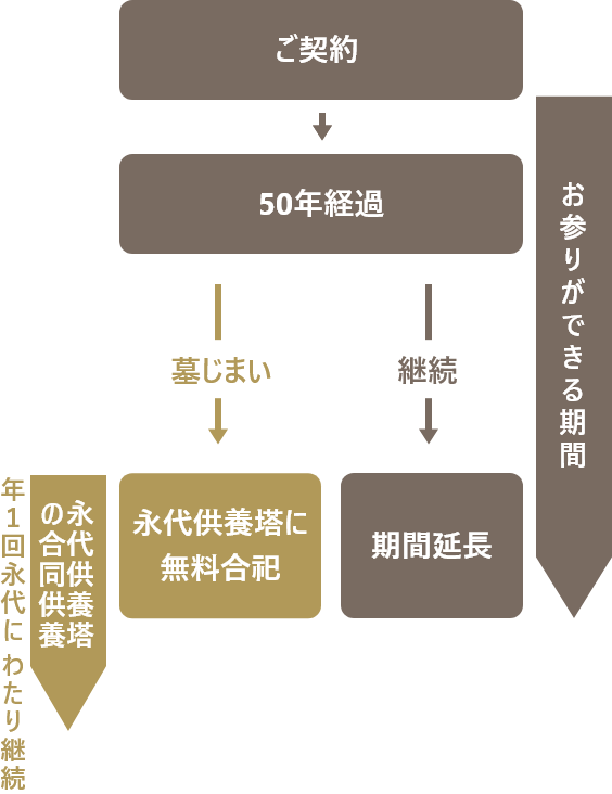 50年墓の仕組み