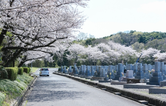 外周道路