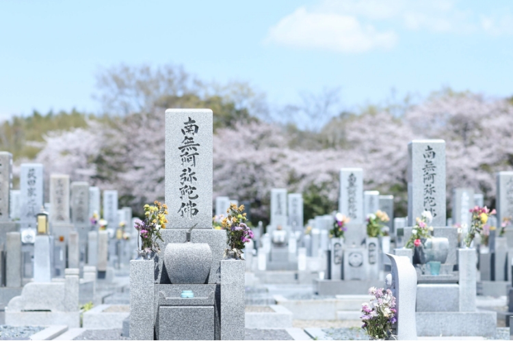 花と緑に心癒される