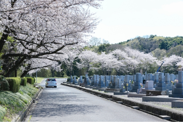 お車での園内移動が可能