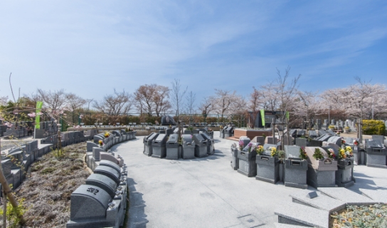 樹木葬専用エリア「青天の森」