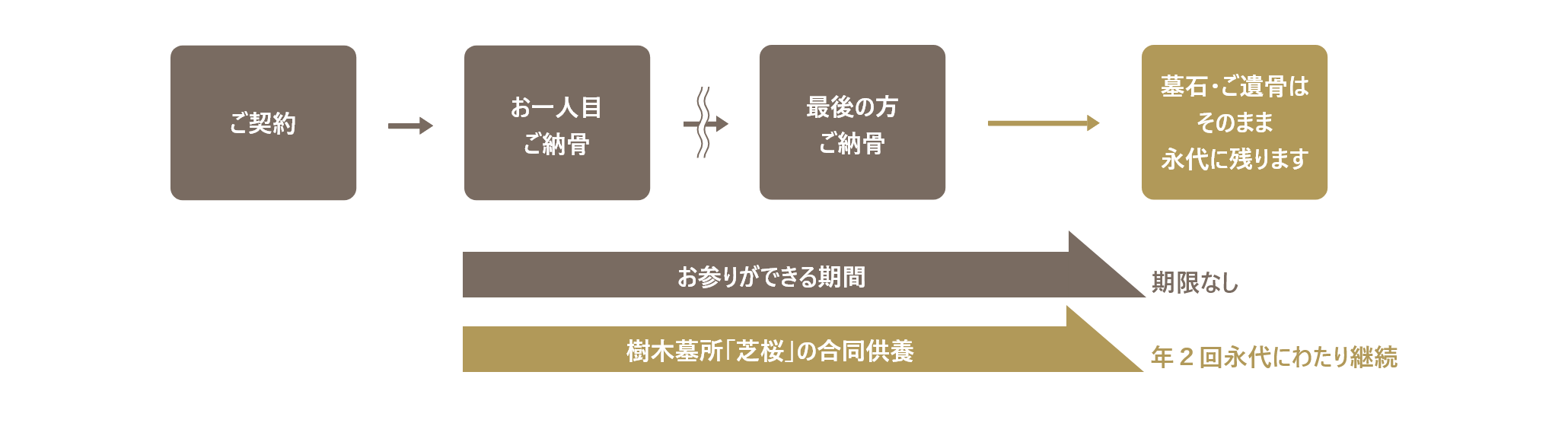 樹木墓地「こもれび」の仕組み