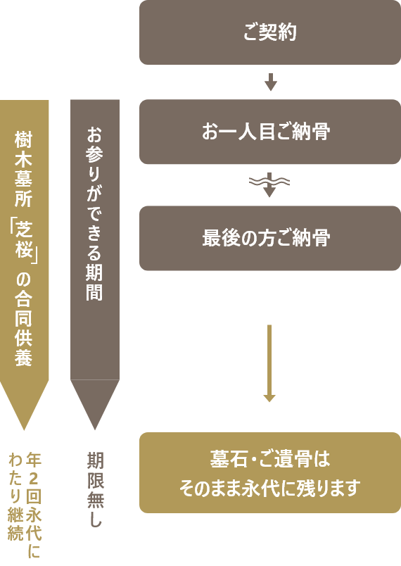 樹木墓地「こもれび」の仕組み