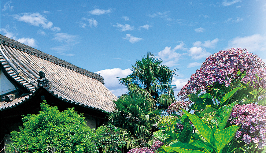 禅寂寺いずみ霊園