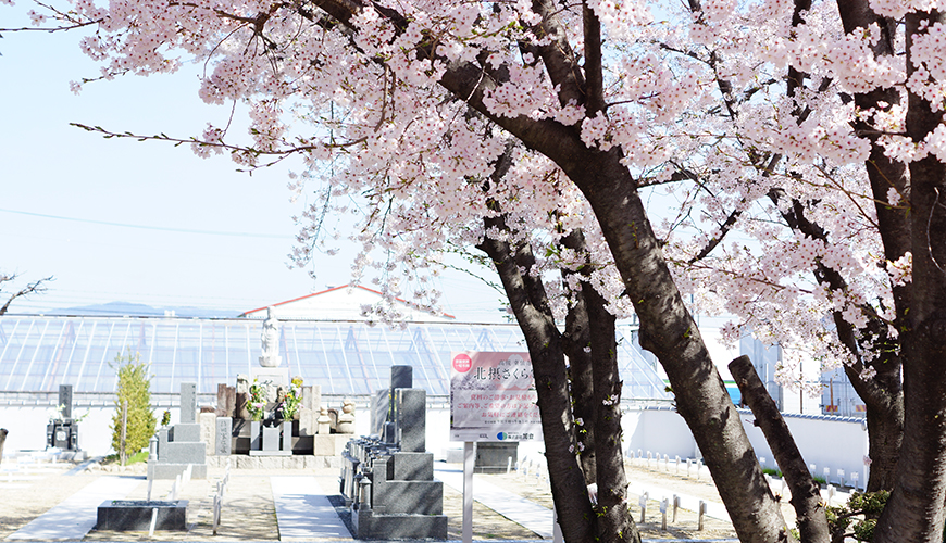 高槻東仙寺 北摂さくら霊園